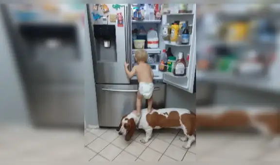 Llega a casa y encuentra su bebé junto al perro tratando de ‘robar’ la comida del refrigerador [VIDEO]