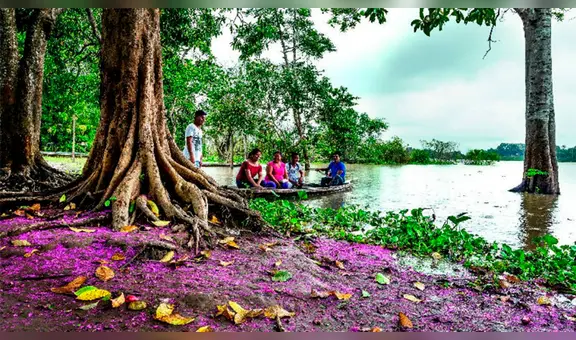 Selva Peruana: ¿Cuáles son los lugares turísticos obligados para todo amante de la aventura?