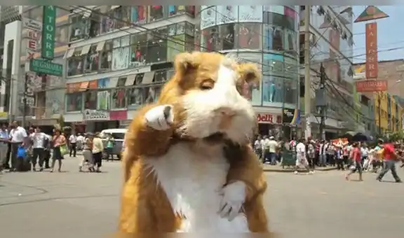 ¿Recuerdas los comerciales más recordados y exitoso de la TV peruana? Aquí los mejores [VIDEO]