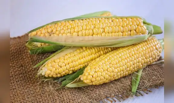 Maíz, el grano de oro