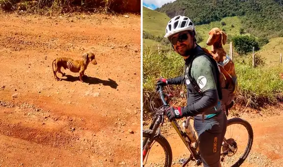 Rescató a un perrito moribundo y ahora lo acompaña en todos sus viajes