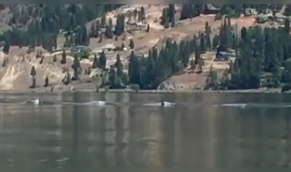 YouTube viral: afirman haber captado al legendario ‘Ogopogo’ en lago de Canadá [VIDEO]
