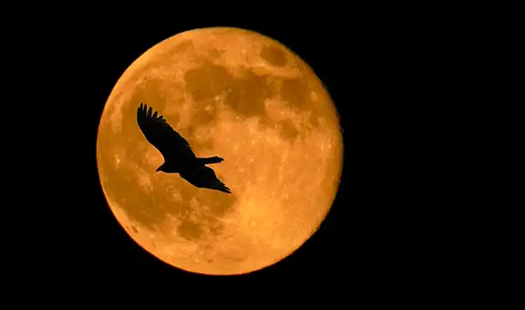 Superluna de Gusano 2020: la gran luna se despide de nuestro cielo esta noche [FOTOS]