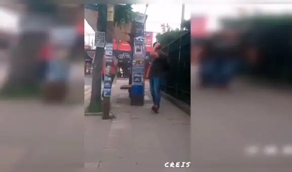 Paloma ataca sin razón a todos los peatones que caminan cerca de ella [VIDEO]