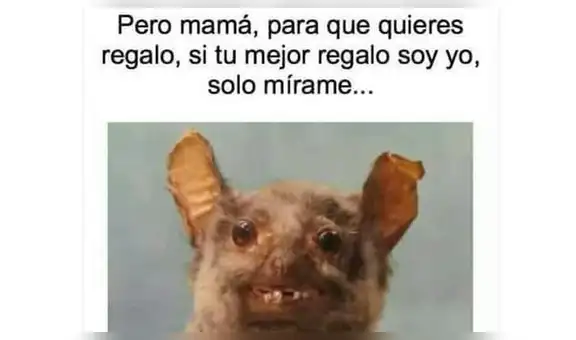 Día de la Madre: divierte a mamá con los memes más creativos para reír en su día [FOTOS]