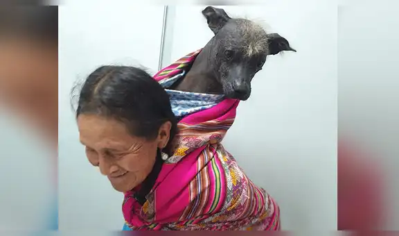 Conmovedora imagen de mujer llevando a su ‘bebé’ perruno en una manta andina cautiva al Cusco