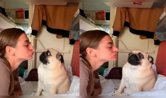 Joven intenta besar a su mascota y recibe inesperada respuesta de su perro pug [VIDEO]