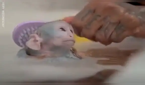 YouTube viral: Joven adopta a un mono y lo cuida como si fuera su bebé [VIDEO]