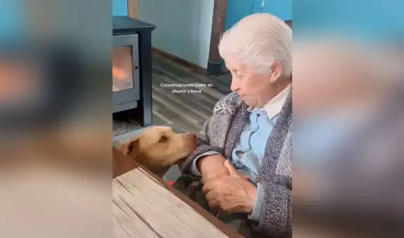 Anciana le ‘habla’ a su perro y este tiene conmovedora reacción al escucharla [VIDEO]