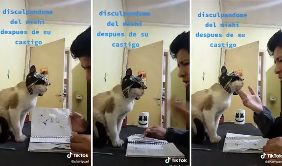 Gatito recrea escena de “El chavo del 8” con su amo y deja en ‘shock’ a los usuarios 