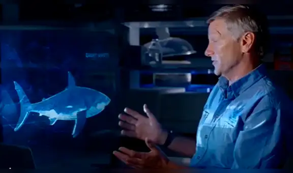 Feroces tiburones se enfrentan a muerte y uno de ellos termina despedazado [VIDEO]