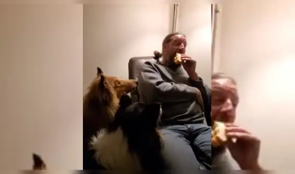 Perro ve a su dueño comiendo y tiene peculiar reacción para que le envite [VIDEO]