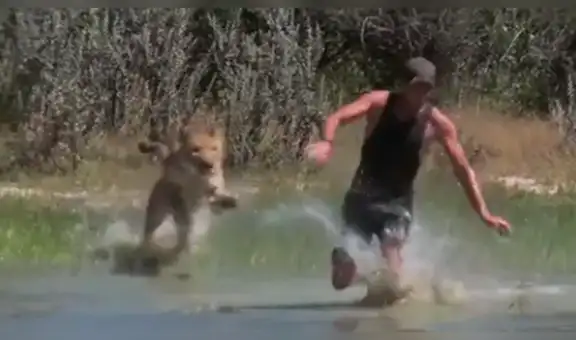 Pensaron que feroz leona se lanza para devorar a osado hombre, pero ocurre lo inesperado [VIDEO]