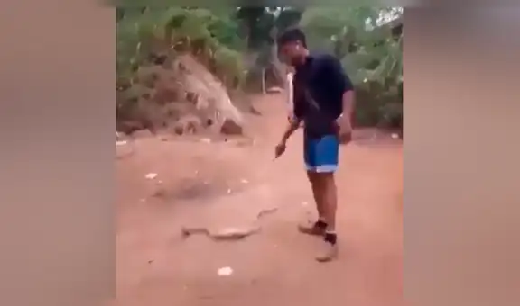 Letal cobra se traga botella de plástico y pobladores intentan ayudarla para salvar su vida [VIDEO]