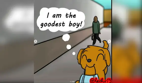 Perro conmueve a miles al ayudar a sus propietarios con las bolsas del mercado [VIDEO]