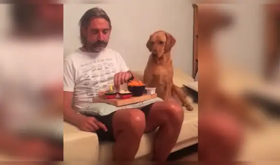 Perro hambriento ve a su dueño comiendo y tiene dramática reacción para no pedirle [VIDEO]