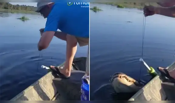 Creyó que había capturado a un pez, pero al sacarlo descubrió que era un peligroso reptil [VIDEO]