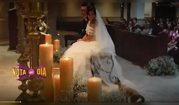 Gatita acompaña a novia en el altar el día de su boda [VIDEO]