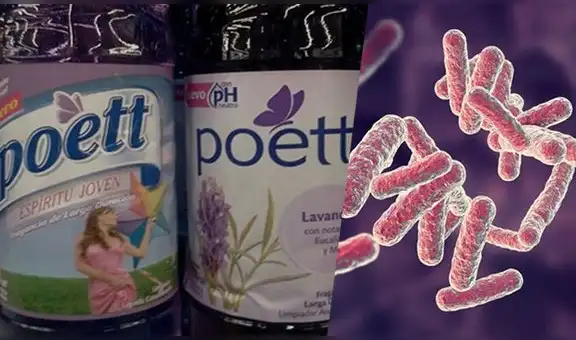 ¿Qué son las pseudomonas y en qué situaciones representan un riesgo para la salud?