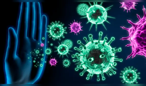 Inmunidad innata e inmunidad adquirida: ¿qué son y cómo responden frente al coronavirus?