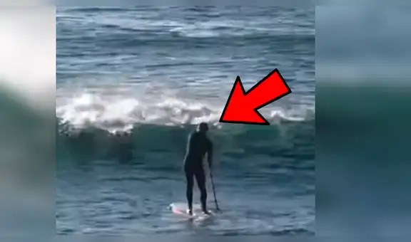 YouTube viral: delfín sorprende a surfista y lo golpea por interrumpir su carrera [VIDEO]