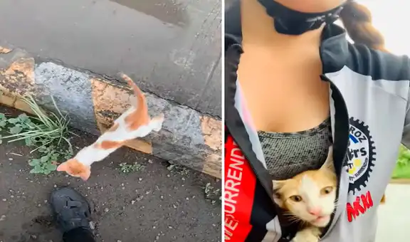 Ciclista rescata a gatita callejera que encontró en su camino y felina no se separa de ella