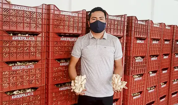 Kion peruano se abrió a 14 mercados durante la pandemia