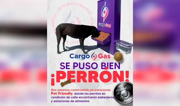Gasolinera pone dispensadores de comida y agua para ayudar a los perros callejeros [FOTOS]