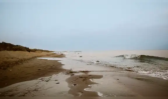 Vía Twitter: Impactante hallazgo de extraña criatura marina en Australia [FOTOS]
