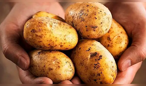 Papa peruana es desplazada en restaurantes y pollerías de Lima 