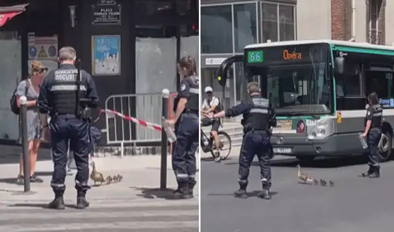 Policías detienen el tránsito para que familia de patos cruce la calle sin peligro