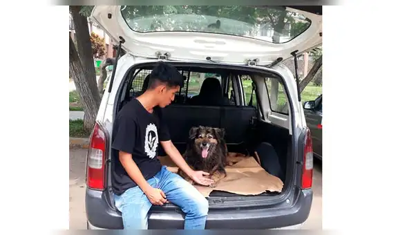 Facebook: estudiantes de la UNMSM intentan salvar a 'Perrovaca’ lanzando campaña [FOTOS]