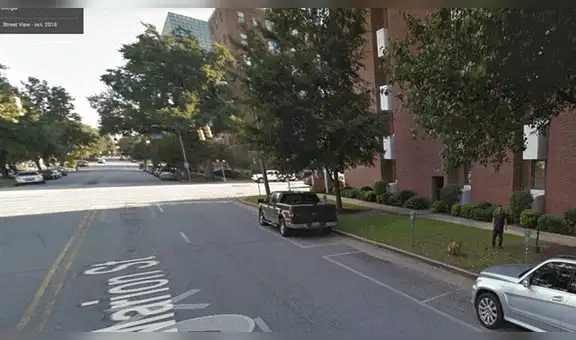 Google Maps: capta a hombre en curiosa escena con su perro cuando recorre calle de EE.UU [FOTOS]