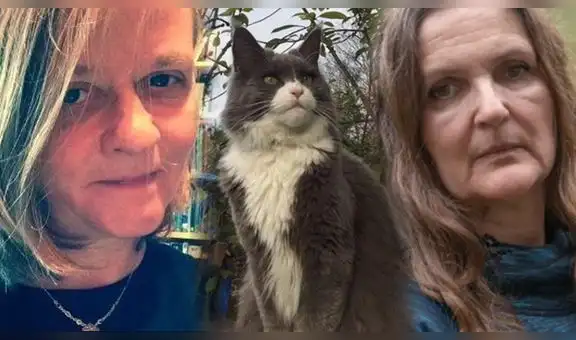 Gato “infiel” provoca costosa batalla legal entre su dueña y su vecina