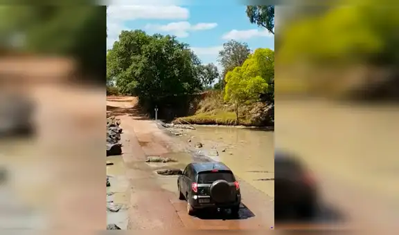 Turistas realizan safari, sin imaginar que serían rodeados por feroces cocodrilos [VIDEO]