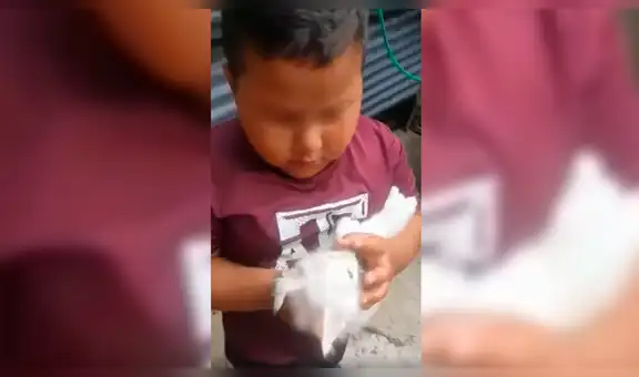 Vía Facebook: Niño rompe en llanto al encontrar a su gato muerto