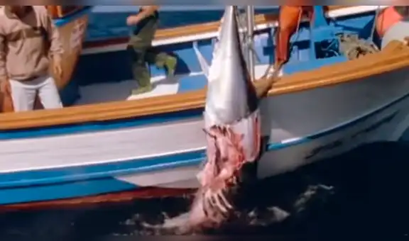 YouTube viral: pescadores compiten contra orcas asesinas por presas del mar y ocurre lo inesperado [VIDEO]
