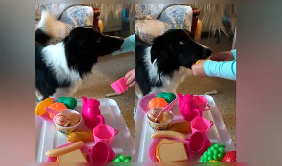 Madre regresa a casa y encuentra a su hija junto a su perro en tierna escena [VIDEO] 