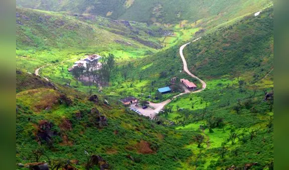 Lomas de Lachay: visita el asombroso “Oasis de Neblinas” a solo dos horas de Lima