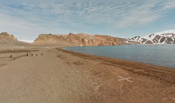 Google Maps viral: usuario capta una emocionante escena mientras 'recorría' la Antártida [FOTOS]