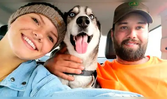Perro se reencuentra con su dueño después de cuatro años y tienen emotiva escena [VIDEO] 