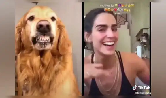 “¡Sonríe, que nadie te apague!”: perro se une a la popular parodia y cautiva con su sonrisa [VIDEO]