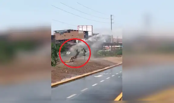 Facebook Viral: perro se da "duchazo" y divierte a miles en la red [VIDEO]