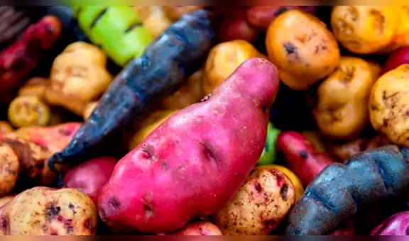 Papas nativas, la nueva esperanza para los productores peruanos