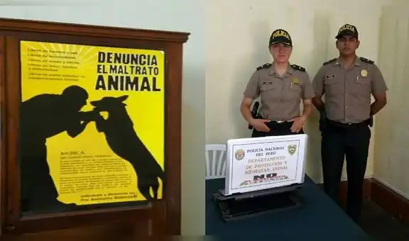 PNP crea oficina para denunciar casos de maltrato animal