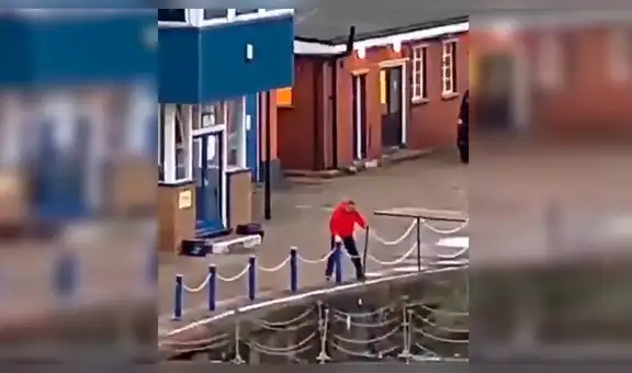 Gato travieso cae a río y joven expone su vida para salvarlo [VIDEO] 