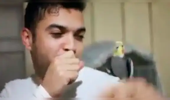 Joven hace ‘beatbox’ y queda sorprendido al ver que su loro comienza a imitarlo [VIDEO]