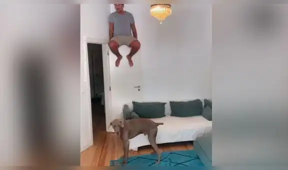Se esconde para jugarle una broma a sus mascotas y estos tienen peculiar reacción [VIDEO]