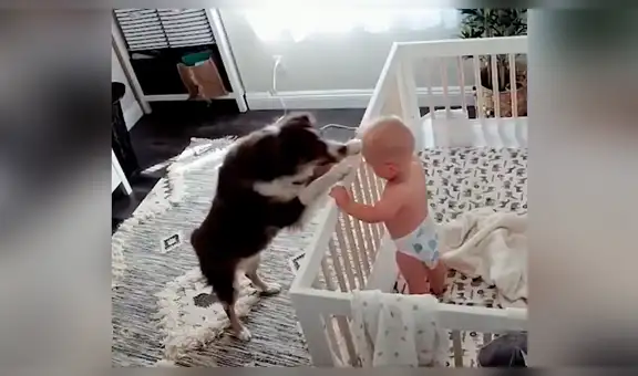Perro y bebé son captados en tierna situación mientras todos duermen [VIDEO] 