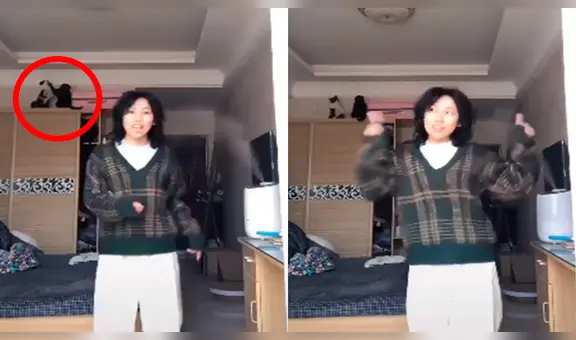 Joven intenta hacer una transmitir sus pasos de baile en vivo pero sus gatos lo arruinan todo [VIDEO] 